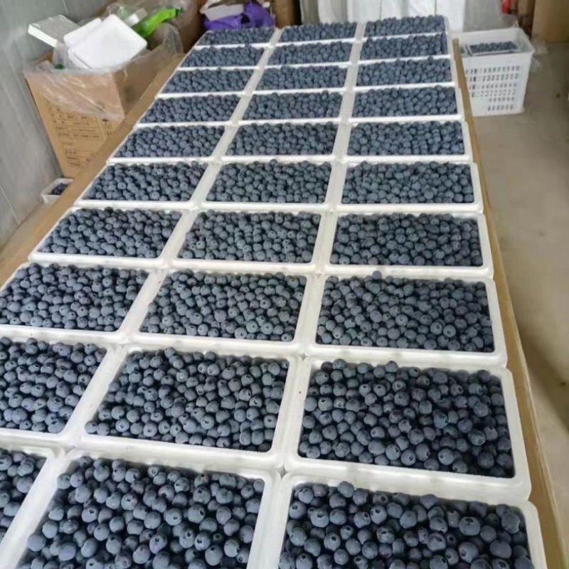 顺丰空运蓝莓水果现货新鲜采摘孕妇水果宝宝辅食批发一件代发