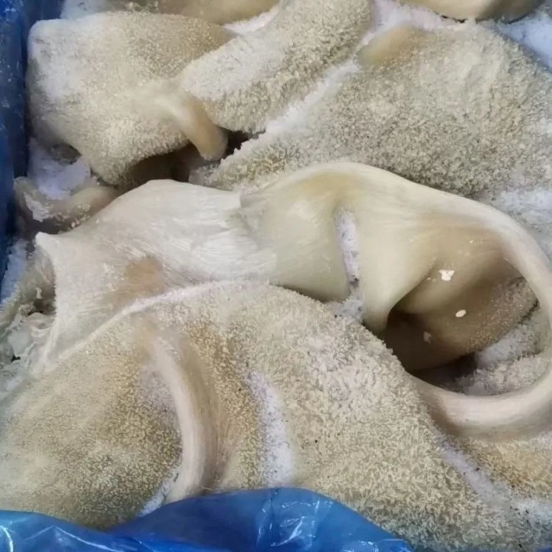 精品商用水发牛肚厂家直发量大价优欢迎联系
