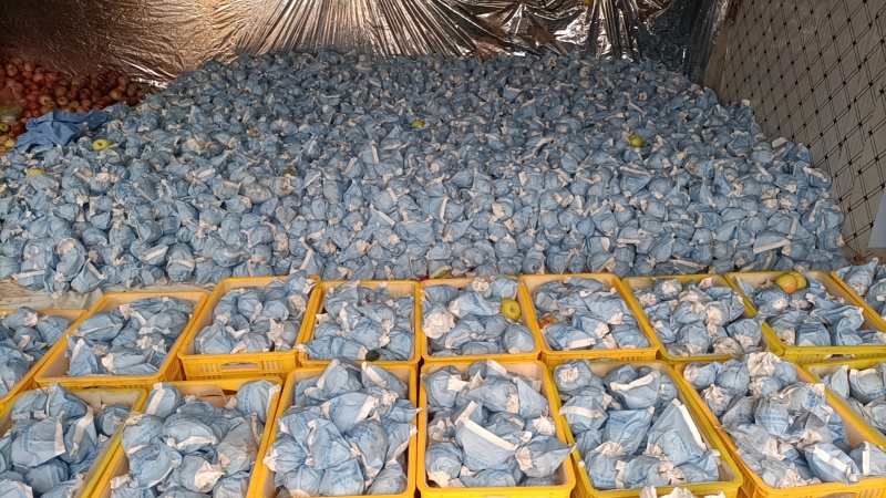 甘肃庆阳晚熟黄金瑞雪苹果