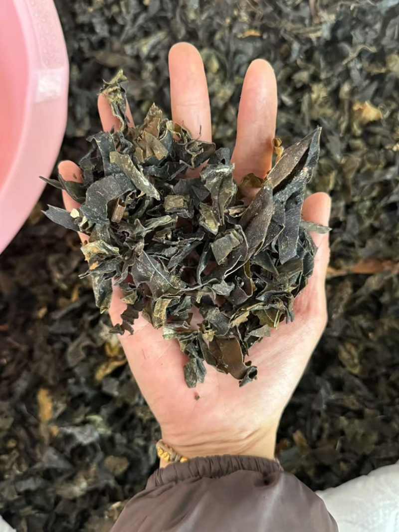 昆布干净货发货如图现货实拍昆布