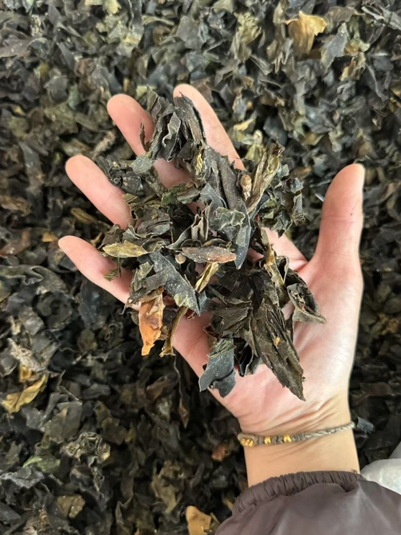 昆布干净货发货如图现货实拍昆布