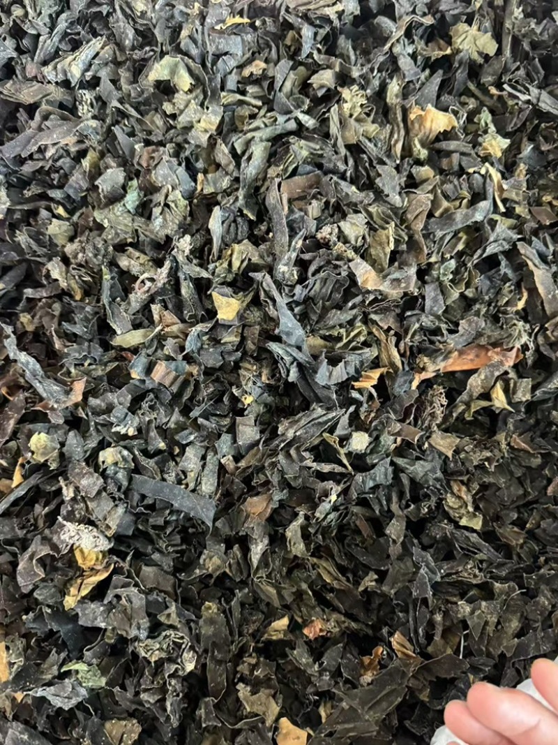 昆布干净货发货如图现货实拍昆布