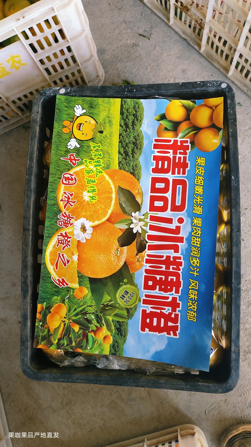 冰糖橙口感佳皮毛靓电商货市场货支持一件代发产地直供全国