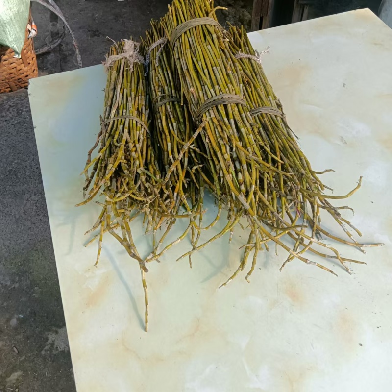 夹江石棉叠鞘石斛榨汁煲汤泡茶均可！***********