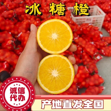 冰糖橙口感佳皮毛靓电商货市场货支持一件代发产地直供全国