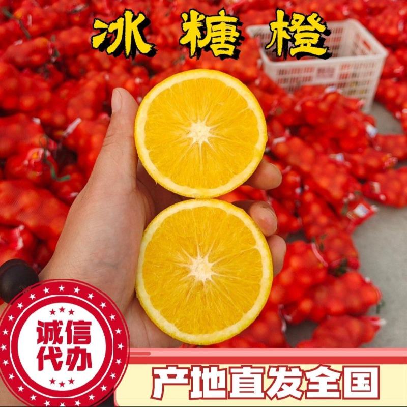 冰糖橙口感佳皮毛靓电商货市场货支持一件代发产地直供全国