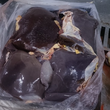 鲜牛肝