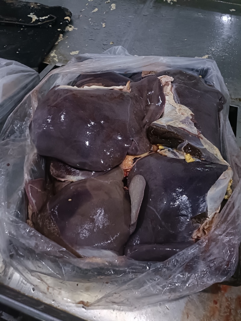 鲜牛肝