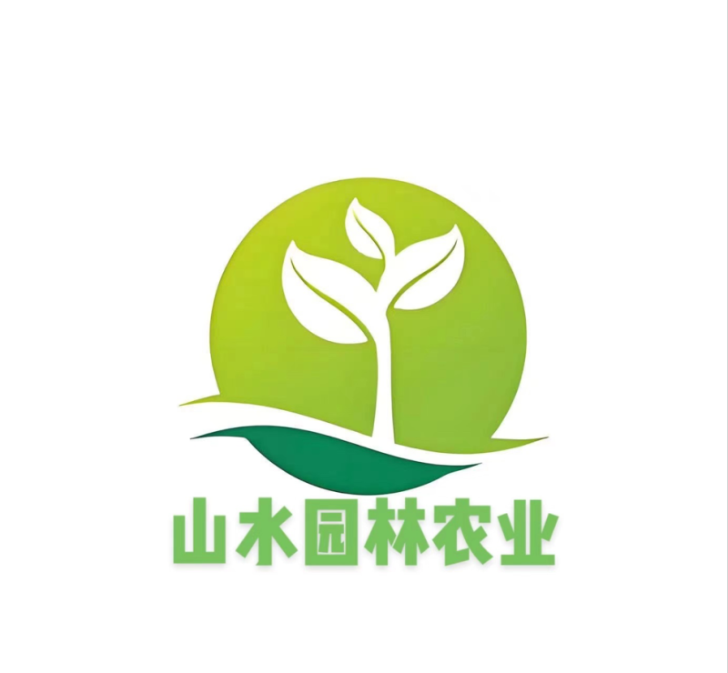 油蟠桃树苗嫁接苗包成活包结果支持技术指导可签合同