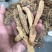 小天麻产地批发，湖北罗田大别山天麻天麻籽四级麻黄天麻