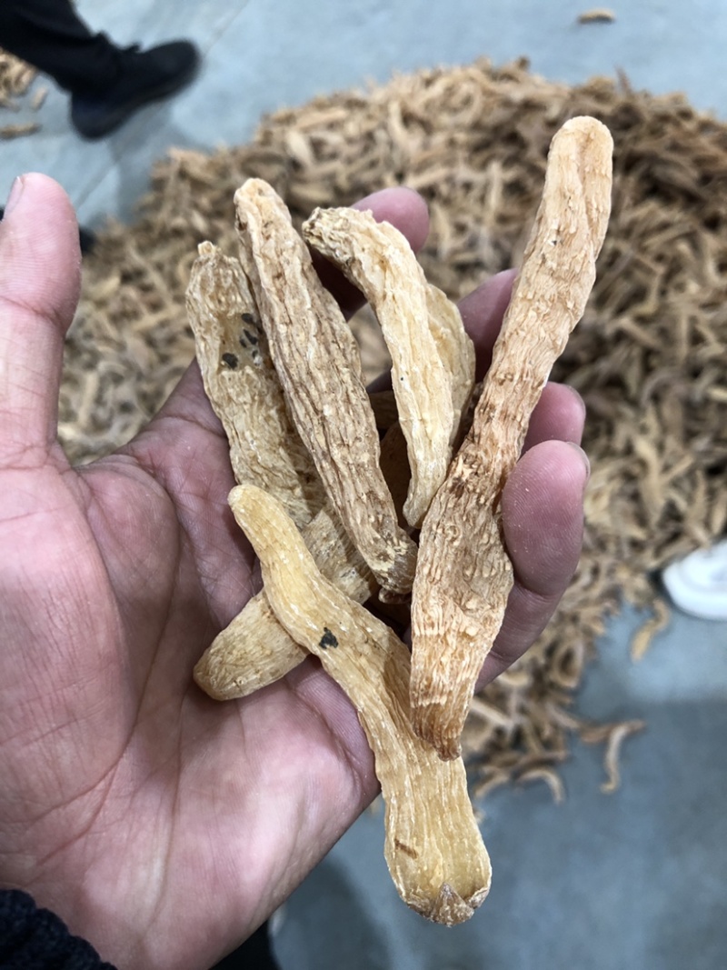 小天麻产地批发，湖北罗田大别山天麻天麻籽四级麻黄天麻