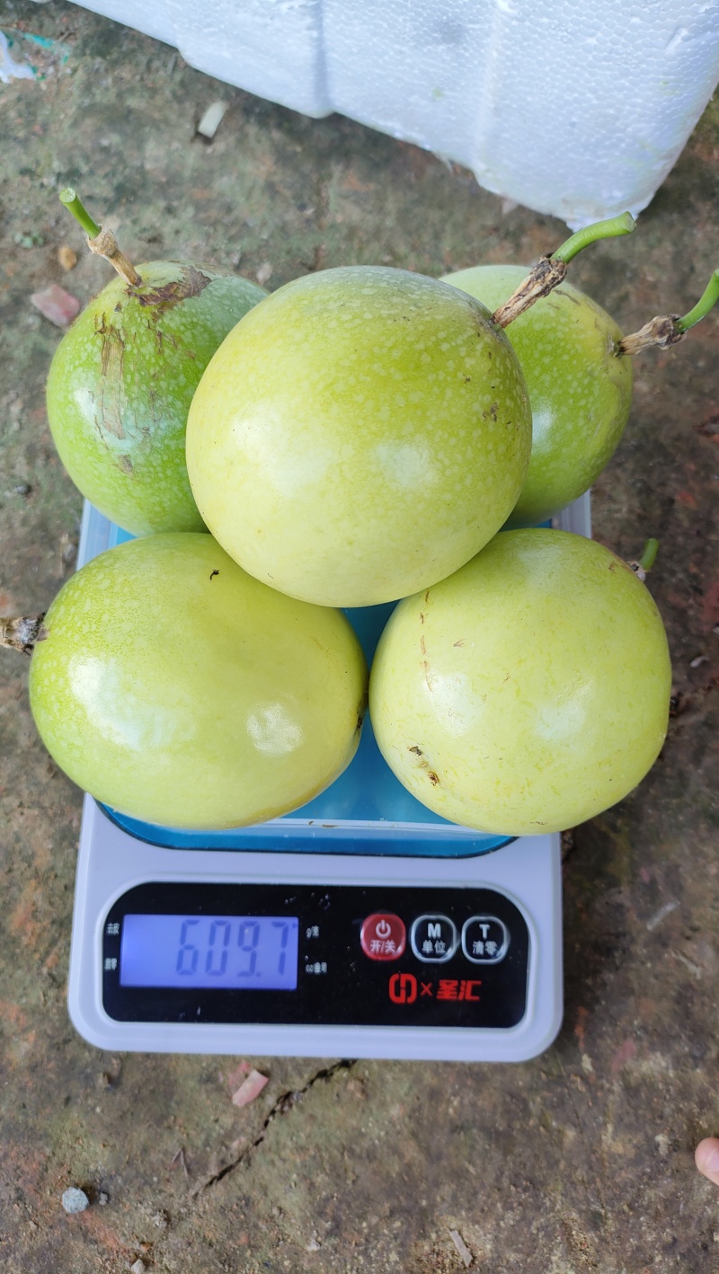 贵州榕江村超黄金百香果大量有货