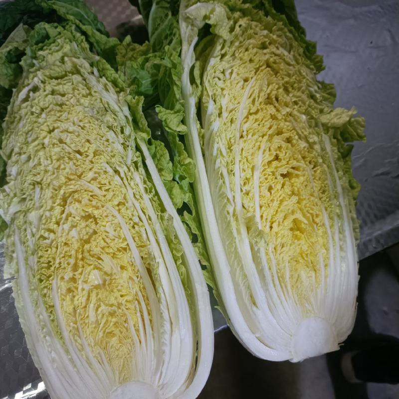 黄心大白菜