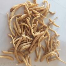 太子参祥泰药材栈中药材批发零售实物拍摄量多从优