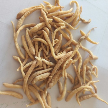 太子参祥泰药材栈中药材批发零售实物拍摄量多从优