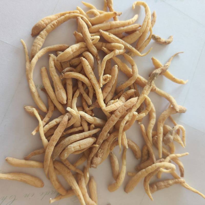 太子参祥泰药材栈中药材批发零售实物拍摄量多从优