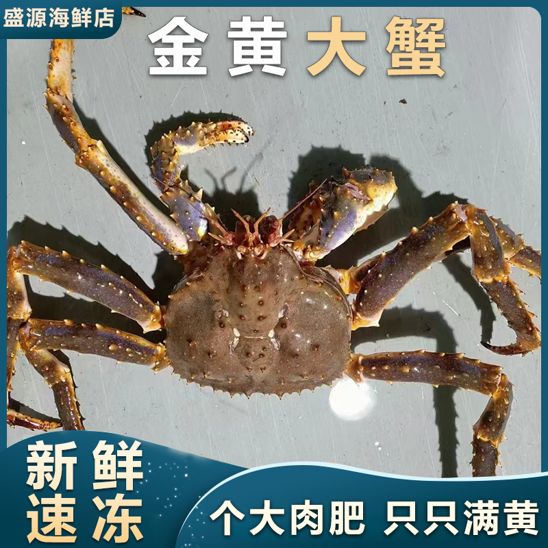 批发冰冻帝王蟹，生冻帝王蟹一手货源，全国可以发货。