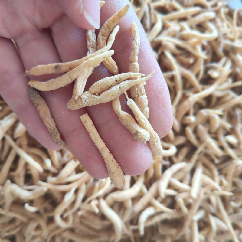 太子参祥泰药材栈中药材批发零售实物拍摄量多从优