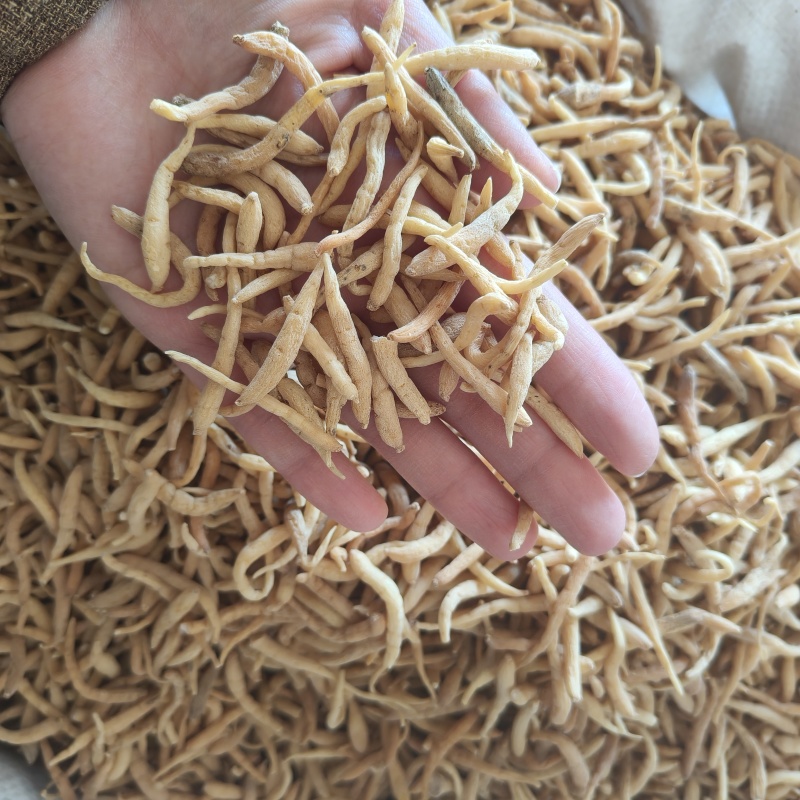 太子参祥泰药材栈中药材批发零售实物拍摄量多从优