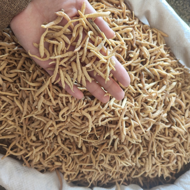 太子参祥泰药材栈中药材批发零售实物拍摄量多从优