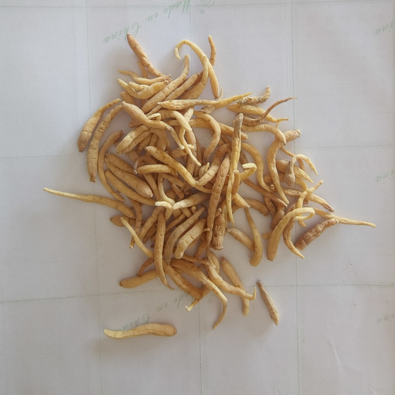 太子参祥泰药材栈中药材批发零售实物拍摄量多从优