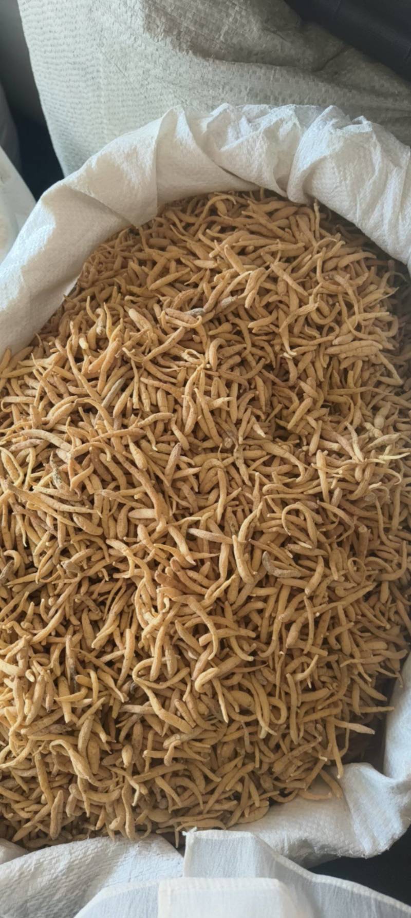 太子参祥泰药材栈中药材批发零售实物拍摄量多从优