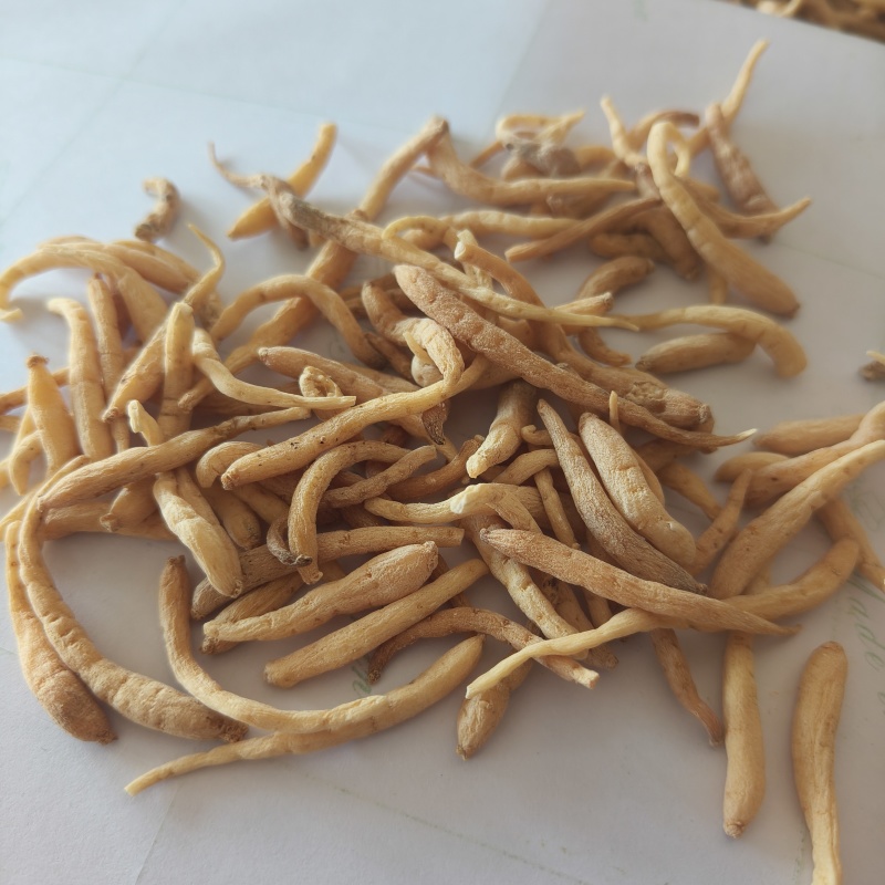 太子参祥泰药材栈中药材批发零售实物拍摄量多从优