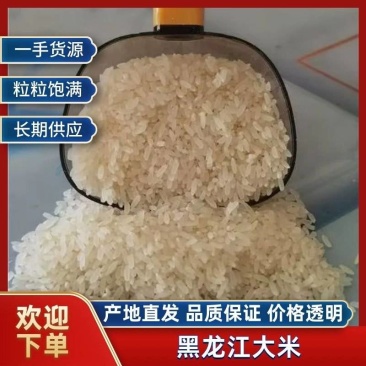 【精选】东北长粒香大米颗粒饱满香味浓郁欢迎咨询订购