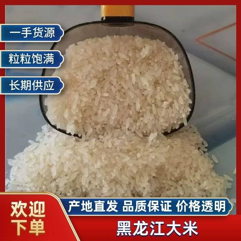 【精选】东北长粒香大米颗粒饱满香味浓郁欢迎咨询订购