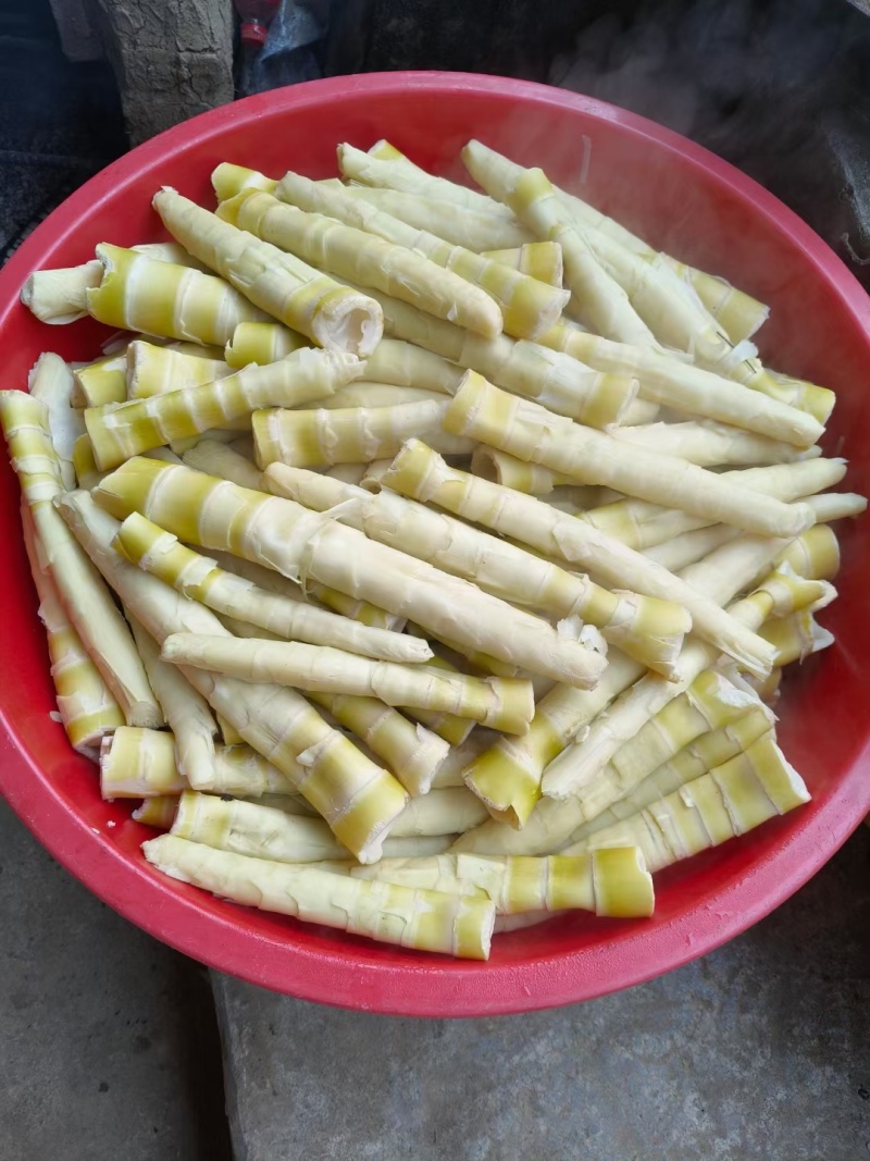 农历十二月的甜笋