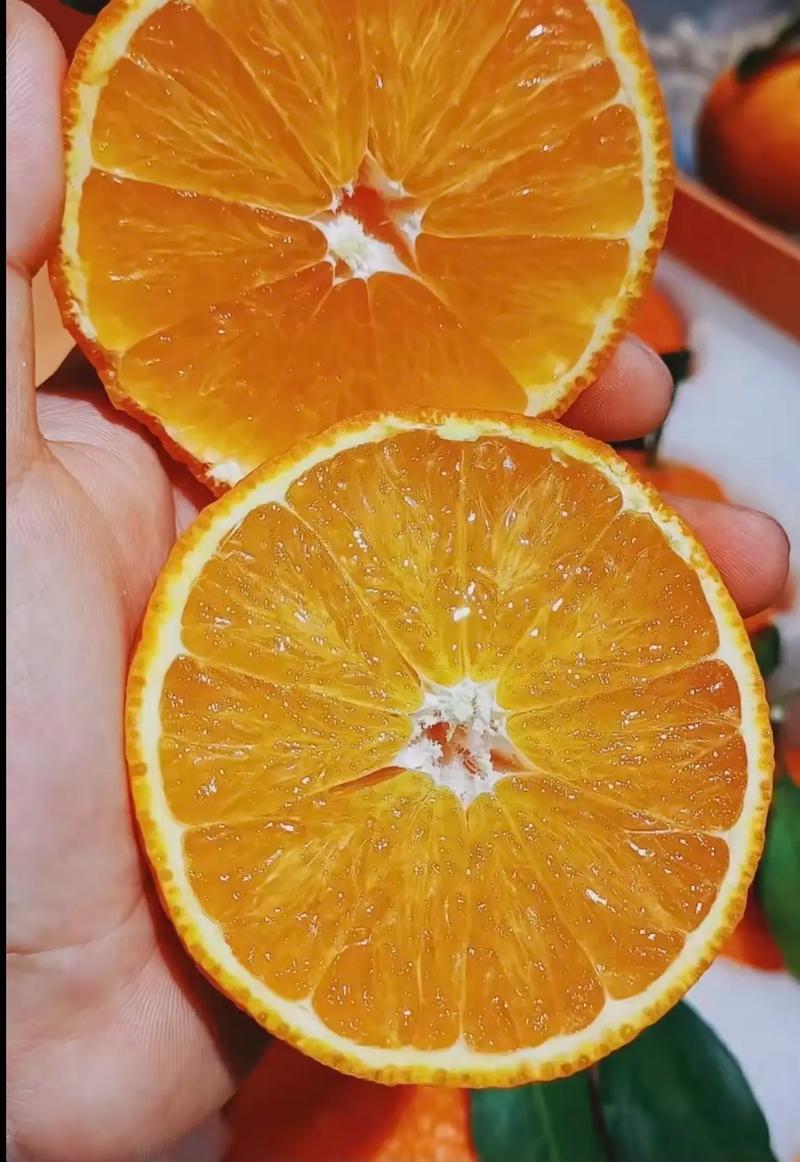 红美人批发有需要的老板可以联系