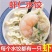 渔村虾仁馅人工水饺