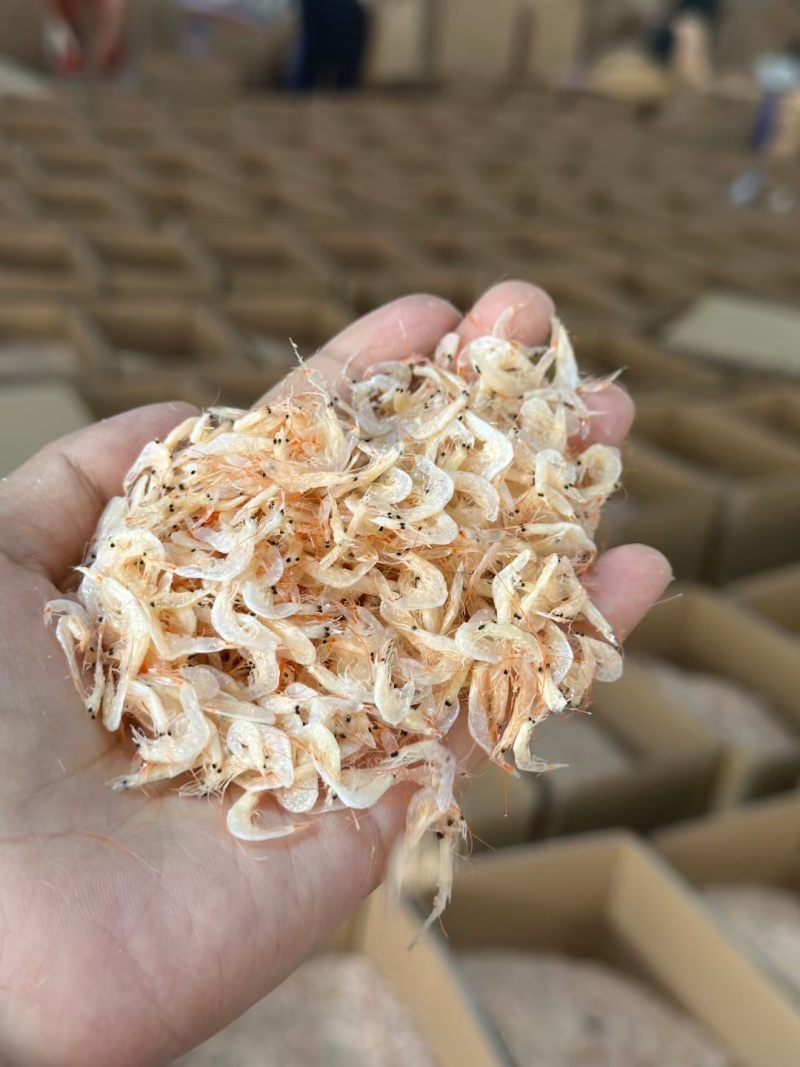 虾皮源头货源可整车可代发小包装价格美丽
