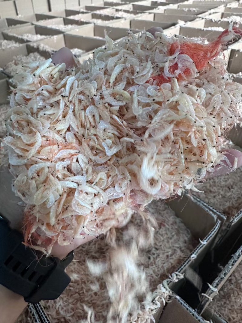 虾皮源头货源可整车可代发小包装价格美丽