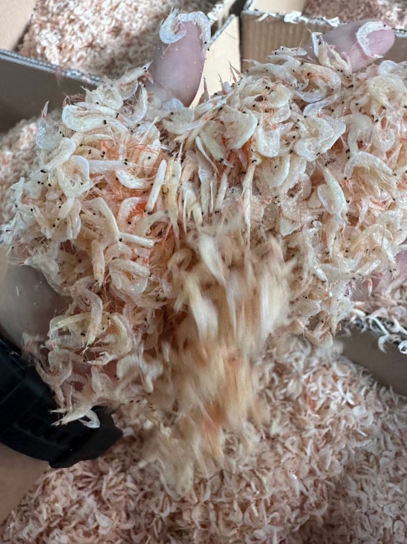 虾皮源头货源可整车可代发小包装价格美丽