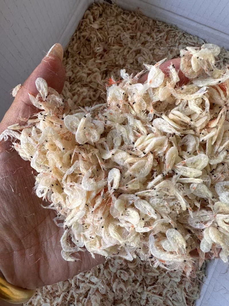 虾皮源头货源可整车可代发小包装价格美丽