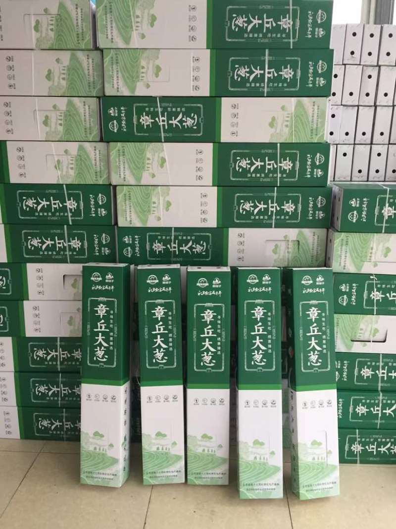 山东章丘大葱产区直发保质保量供货批发零售