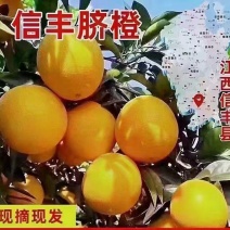 新鲜采摘，果园直发，招代理，一件代发
