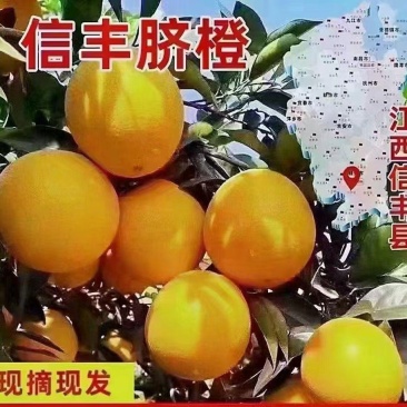 新鲜采摘，果园直发，招代理，一件代发