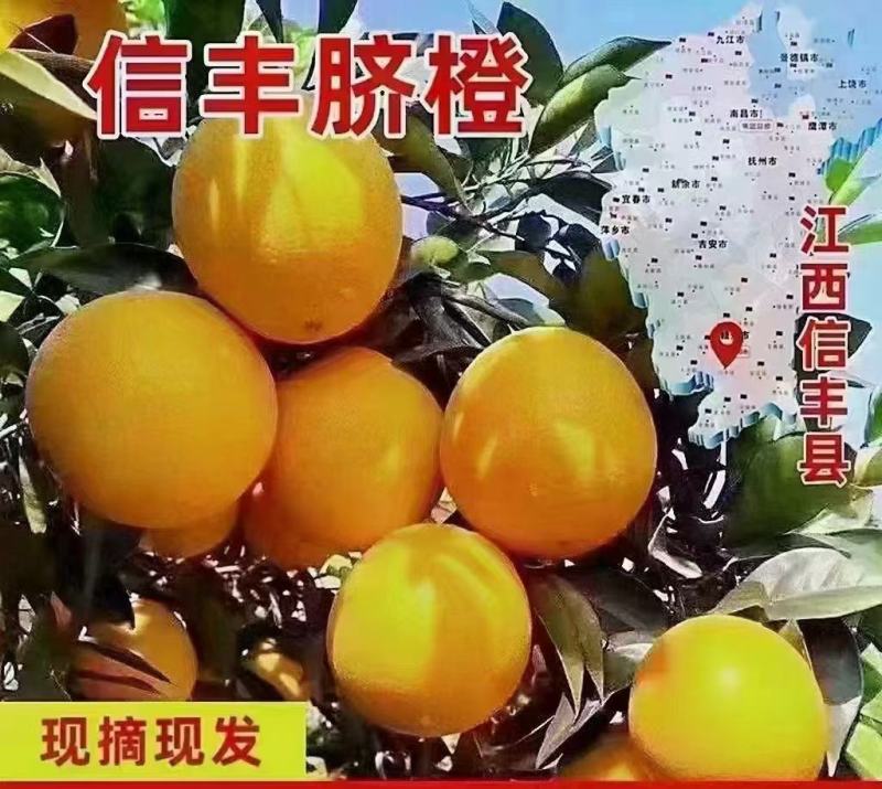 新鲜采摘，果园直发，招代理，一件代发