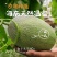【精选】海南晓蜜25哈密瓜对接商超电商社区团购等量大从优