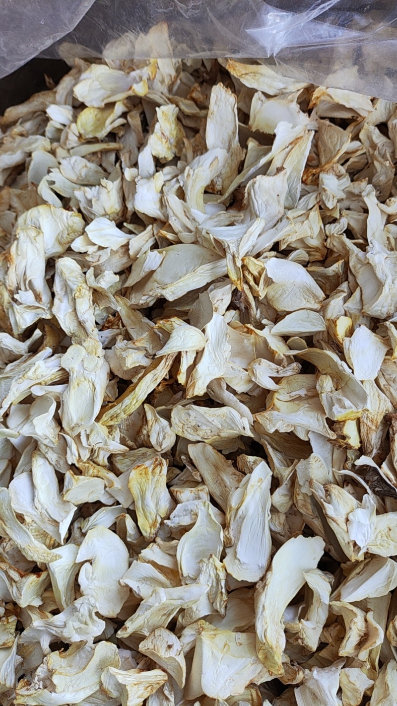 泌阳杏鲍菇干片菌汤包，厂家直销价格实惠菌汤包代加工