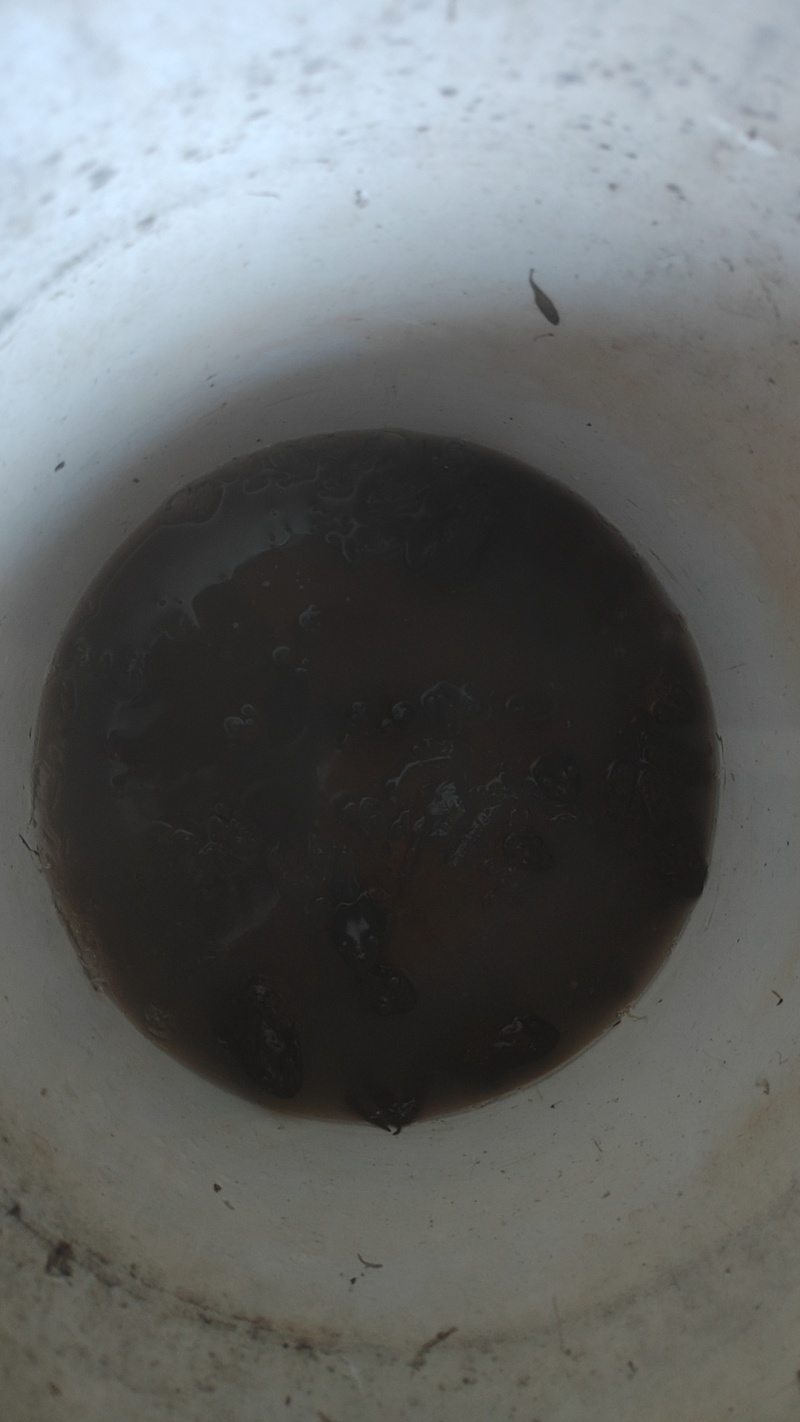 纯纯林蛙