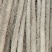 精品粉糯双棒山药，大量上市，条形笔直，径粗3.5cm