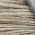 精品粉糯双棒山药，大量上市，条形笔直，径粗3.5cm