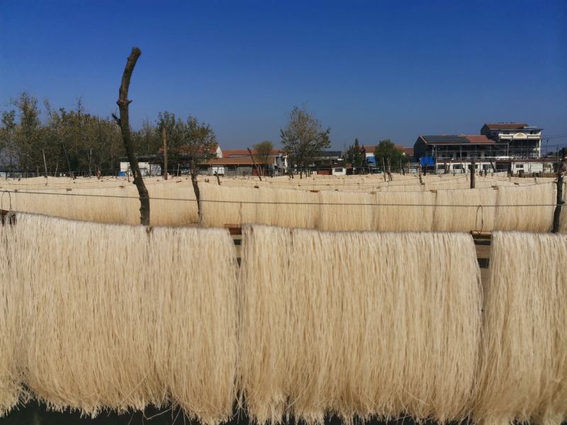 山东精品粉条红薯粉条大量供应纯手工制作欢迎来电咨询