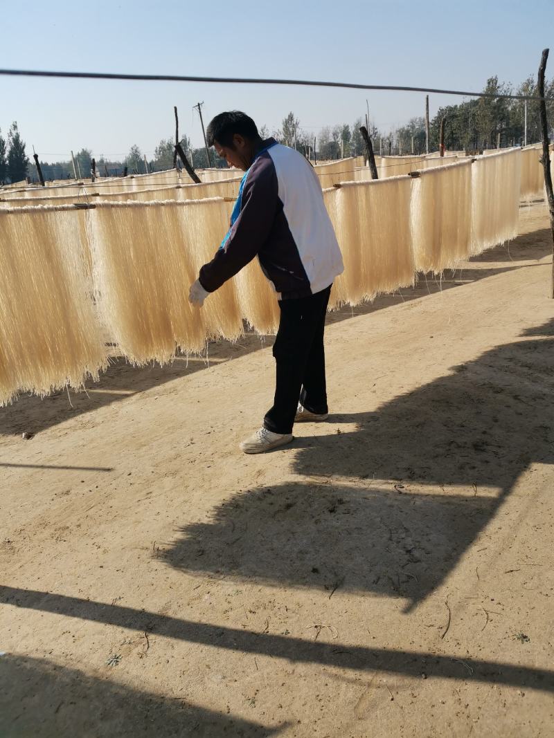 山东精品粉条红薯粉条大量供应纯手工制作欢迎来电咨询