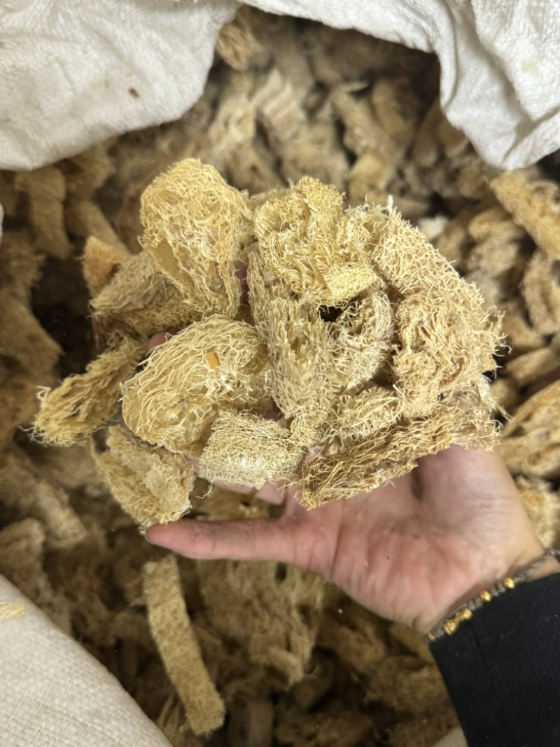 丝瓜络丝瓜瓤实拍无硫现货丝瓜络干净