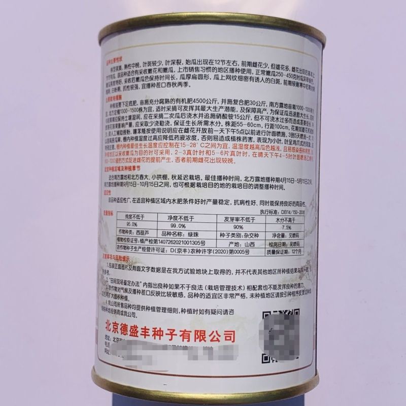 云南四川贵州越冬早春秋延冷凉地抗病高产油绿顺直西葫芦小瓜