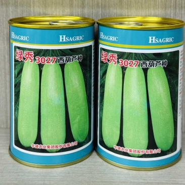 绿秀3027西葫芦种子大田基地种植西葫芦种籽节间短口感好
